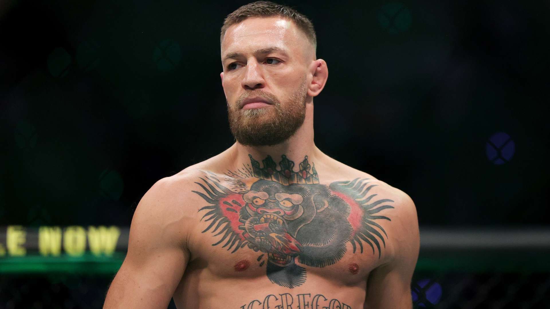 欧洲杯盛宴精彩赛事传递热烈氛围燃情四溢欢庆时刻